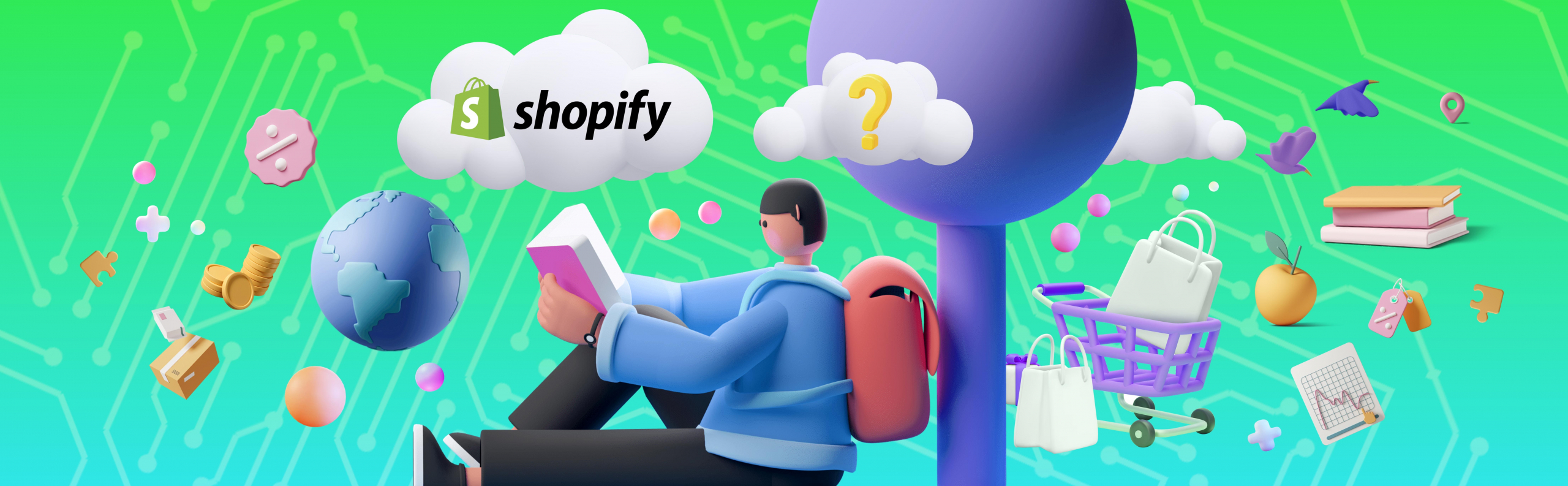 Shopify guide