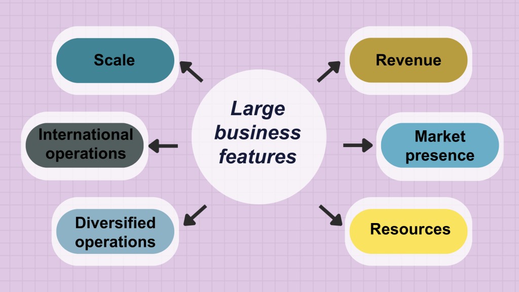 accounting software for large business