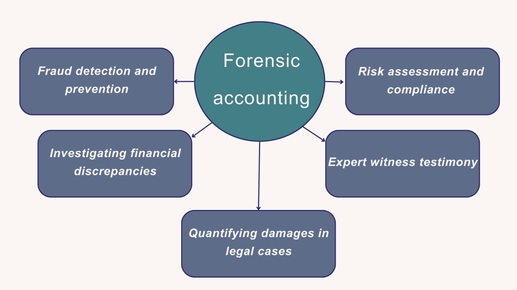 What is forensic accounting: forensic accountants' responsibilities