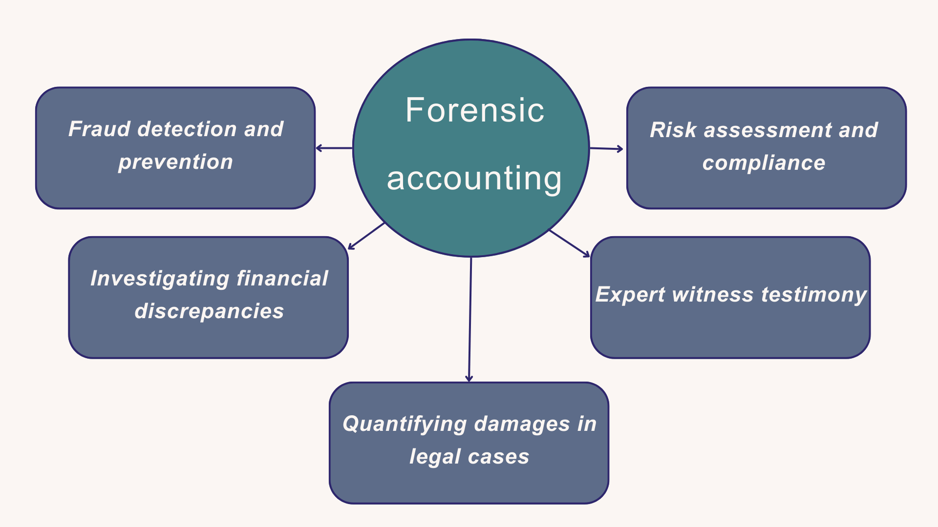 phd forensic accounting