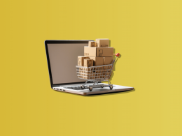 Brief Overview of the U.S. Ecommerce Landscape or Ecommerce at a Glance