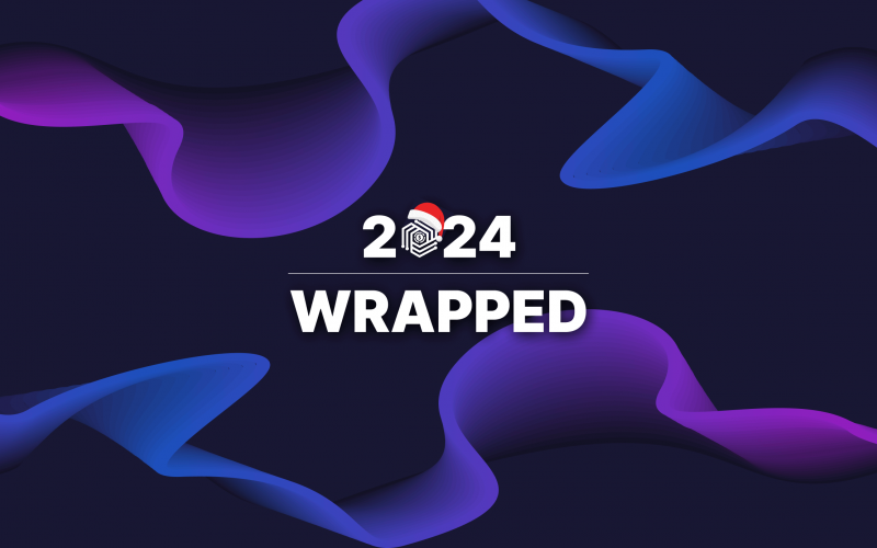 Synder's 2024: The Highlights of the Year