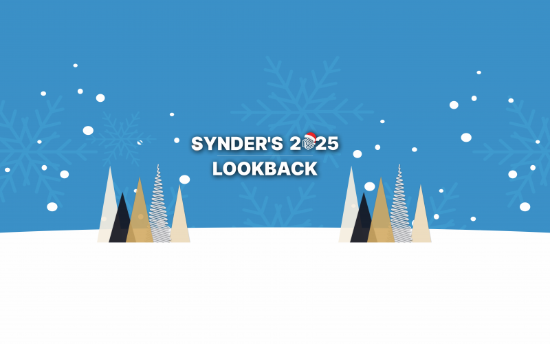 Synder's 2025: Growth in Motion