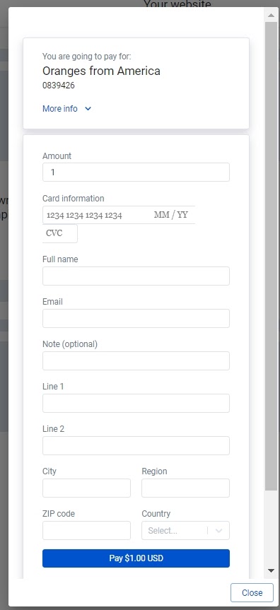 The Preview option in front of it will give you an opportunity to Click to check how it works for your customers. Press Pay option and you will see the following table to be filled in on your customers’ side.